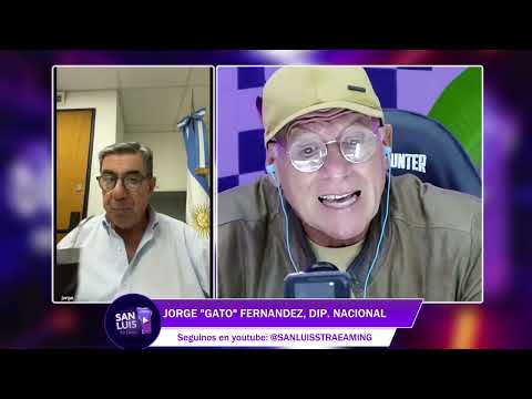 Jorge "Gato" Fernández en el Congreso: La reforma laboral de Milei y una quita de derechos sin precedentes